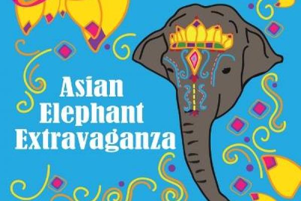Asian Elephant Extravganza