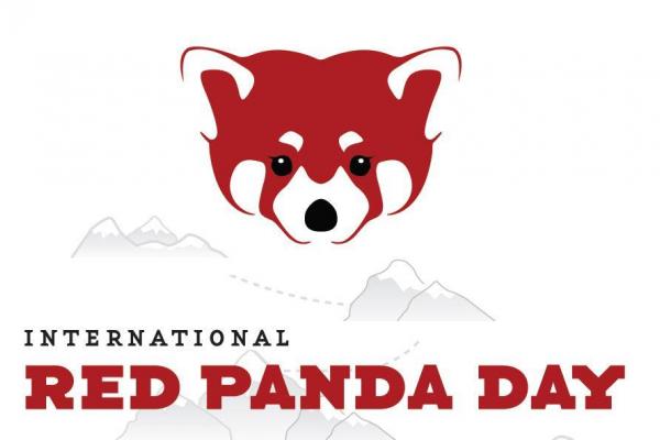 International Red Panda
