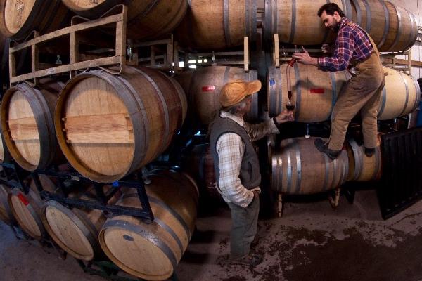 winemaker climbing on wine barrels pouring sample from barrel into wineglass for man standing on the floor