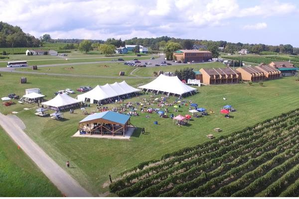Aerial shot of the lawn at Glenora Wine Cellars, with tents and tables set up for our annual lobster dinner.