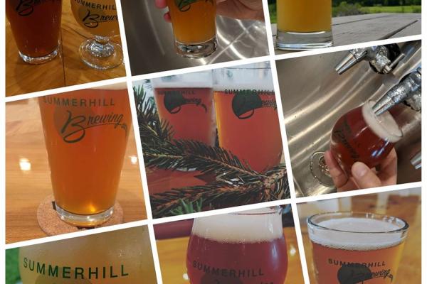 Collage of Summerhill Brewery beers