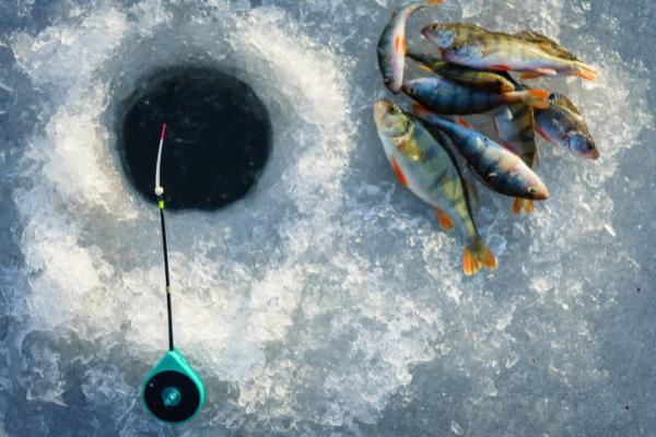 overhead shot of an ice fishing hole with rod and caught fish 