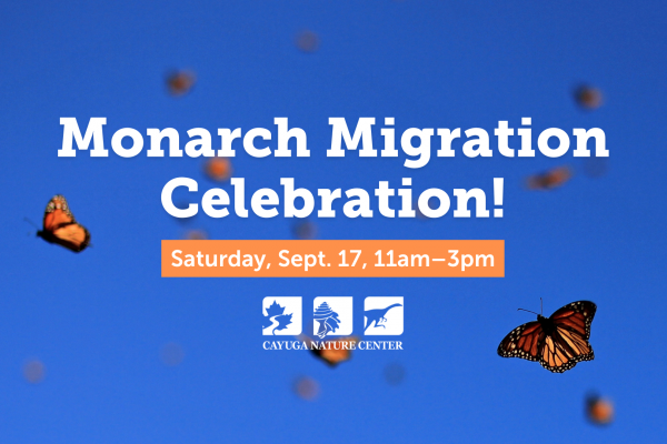 Event graphic with blue sky background with monarch butterflies flying. Includes event details and nature center logo in white