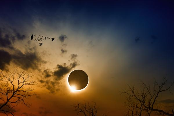 A solar eclipse in a clear sky with puffy clouds, birds in flight, and tree tops