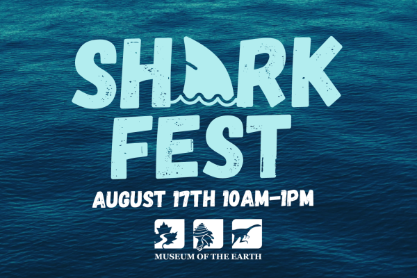 Shark Fest at the Museum of the Earth