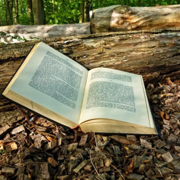An open hardcover book that's leaning on a log and laying on woodchips.