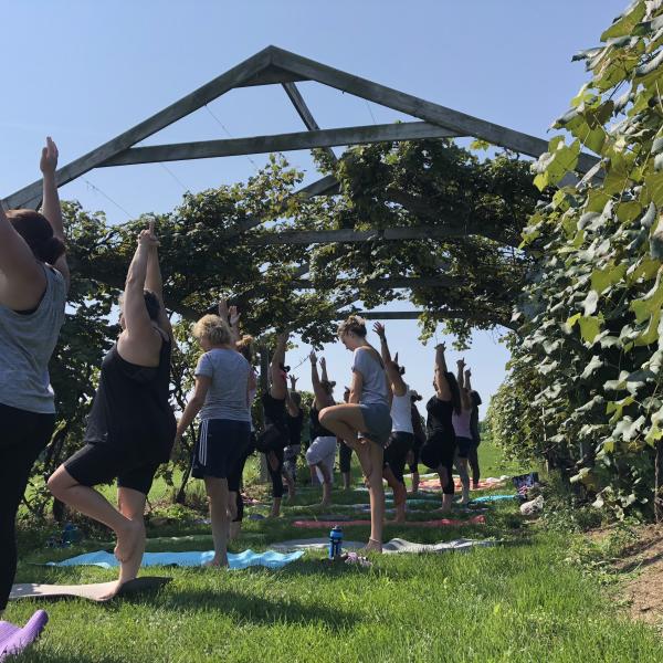 Yoga under Hunt Country's Arbor