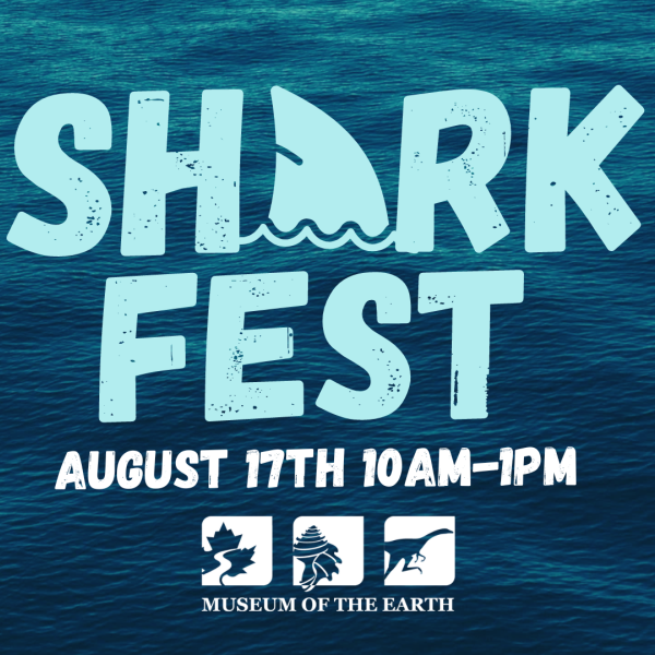 Shark Fest at the Museum of the Earth